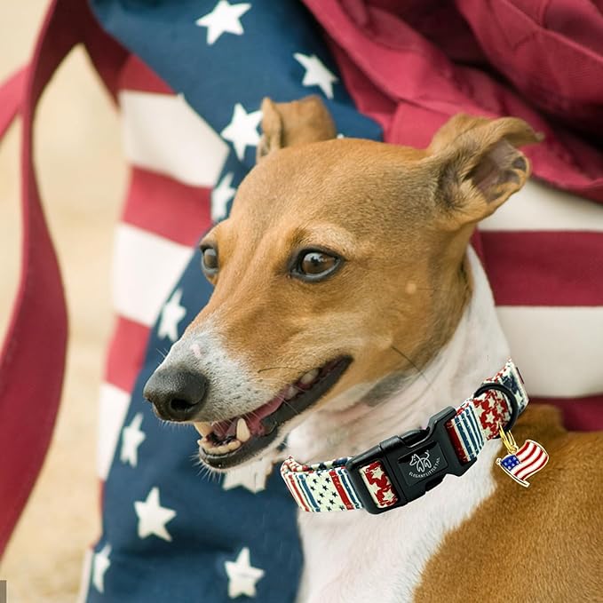 Elegant little tail Independence Dog Collar, 4th of July Holiday Pet Collars Cotton Patriotic Puppy Girl or Boy Soft Pet Gift Adjustable Dog Collar for Small Medium Large Dogs