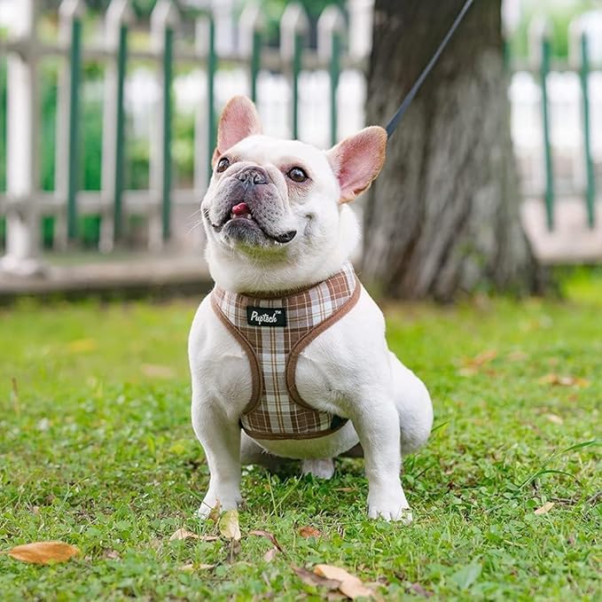 PUPTECK Soft Mesh Dog Harness and Leash Set Pet Puppy Cat Comfort Padded Vest No Pull Harnesses, Brown, M