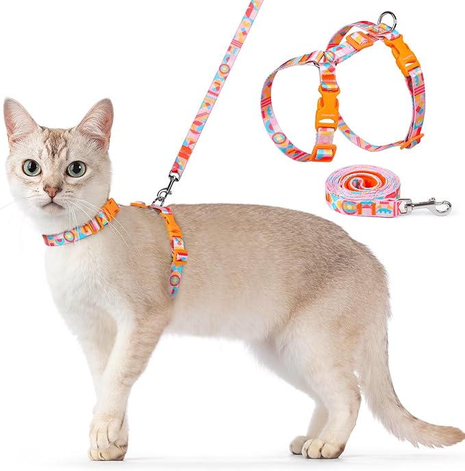 Dooradar Cat Harness and Leash, Escape Proof Adjustable Kitten Vest, Lightweight Soft Pet Straps, Easy Wearing for Small Medium Kitty Safe Walking Travel Control, Rainbow, M