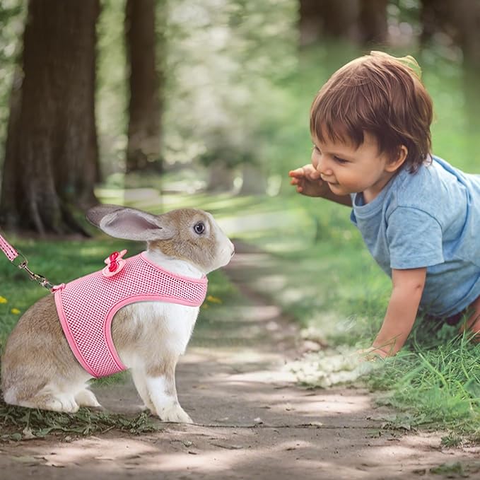 Rabbit Harness and Leash Set with Cute Bow tie Buckle Breathable Mesh Vest Harness for Rabbits Kitten Small Pets Pig Walking(L: Chest Girth 11.02-13.38IN, Pink)