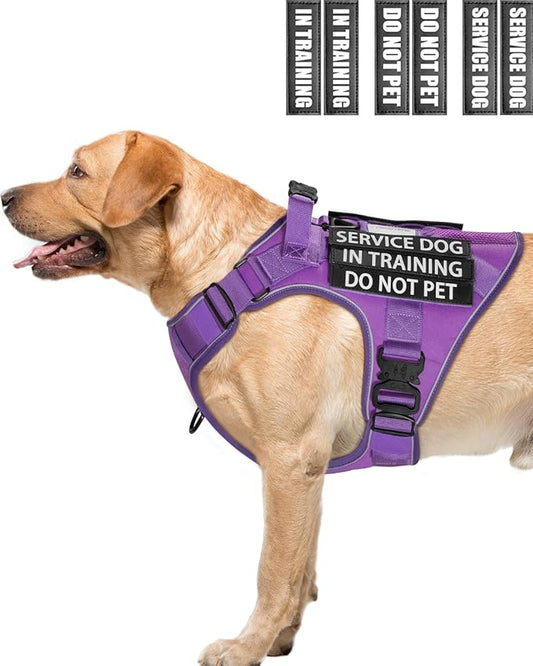 Reflective Service Dog in Training Vest Harness for Extra Large Dogs, Adjustable Heavy Duty Padded Purple Dog Harness, with Front Clip and Metal Buckles Do Not Pet for Training, Hiking