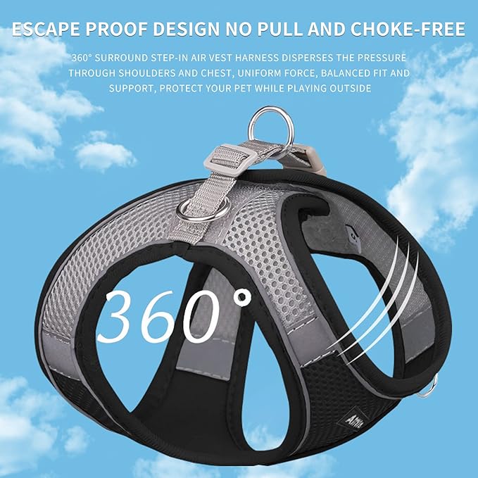 AIITLE Comfortable Dog Harness and Leash Set for Walking - Spring Step in Vest Harness,Reflective Bands, Adjustable No Pull Puppy Essentials, for Small Dogs and House Cats Black XS