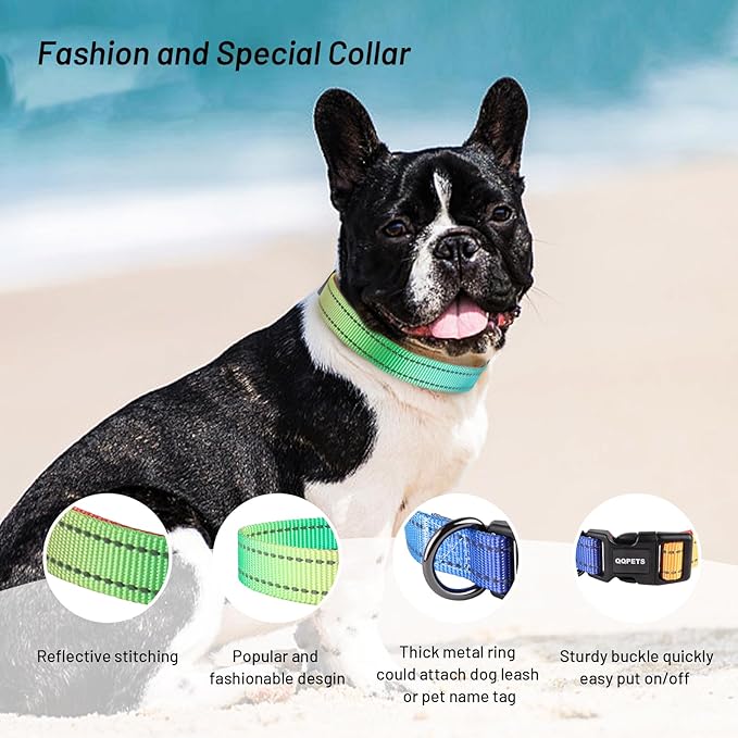 Dog Collar Cute Flower, Reflective Adjustable Basic Collars for Girl Female Small Medium Large Dogs Walking Running(Small,MultiRainbow)