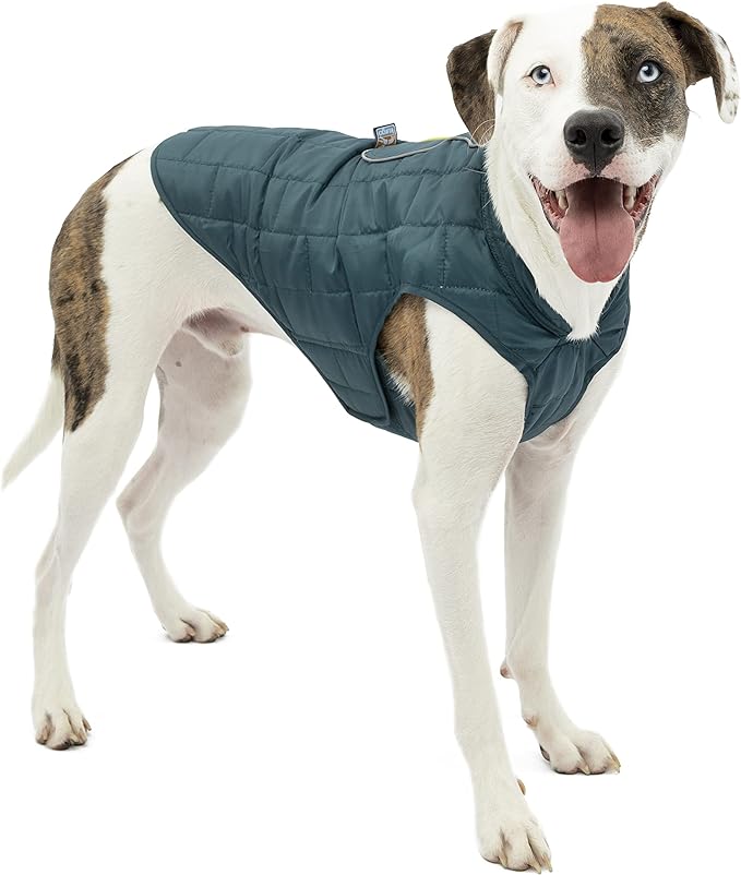 Kurgo Loft Dog Jacket, Reversible Dog Coat, Wear with Harness or Sweater, Water Resistant, Reflective, Winter Coat for Small Dogs (Ink Blue, S)