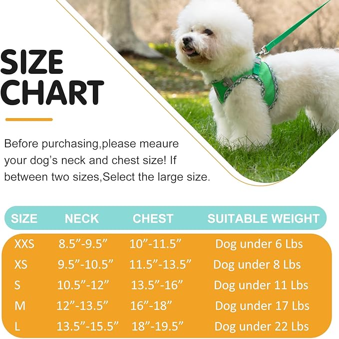 Dog Harness and Leash Set, No Pull Pet Harness for Small Dogs Easy Walking,Soft Breathable Small Dog Harness,Adjustable Reflective Step in Vest Harness for Puppy ,kitten, Cats