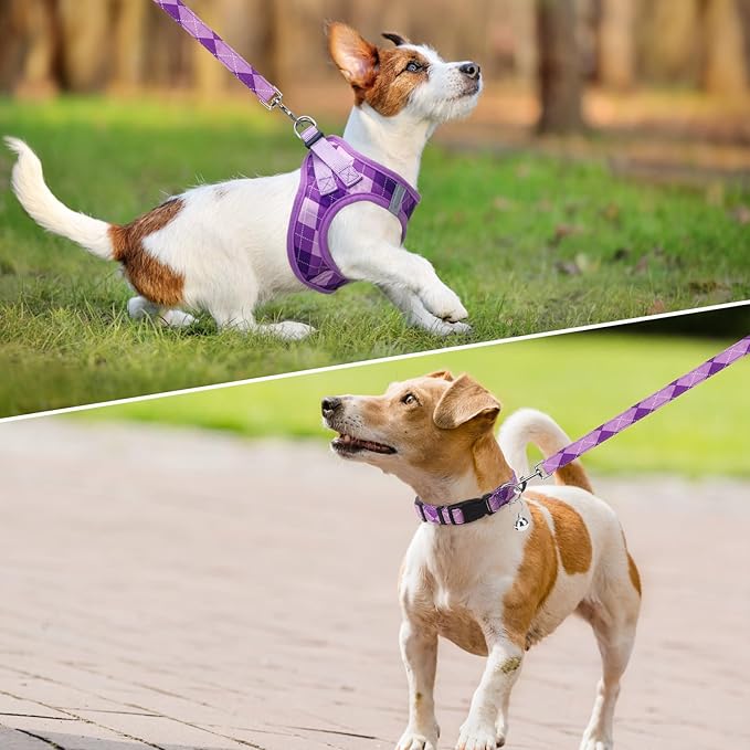 SCENEREAL Dog Harness Collar and Leash Set, Step-in No Pull Pet Vest Harnesses for Small Medium Dogs Puppy Cats, Soft Mesh No-Chock Reflective Vest Harness for Outdoor Walking Running, Purple Plaid S