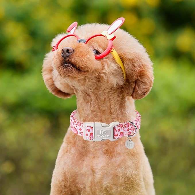 Pink Heart Dog Collar, Adjustable Size (15.35"-23.62"), Valentine's Gift for Puppy Dogs, Wedding Collar