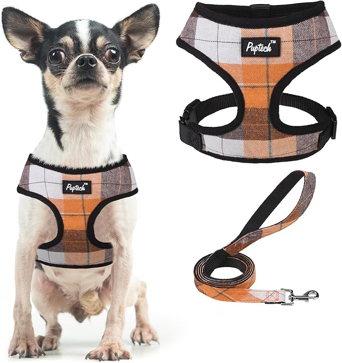 PUPTECK Soft Mesh Dog Harness and Leash Set Pet Puppy Cat Comfort Padded Vest No Pull Harnesses, Orange, XS