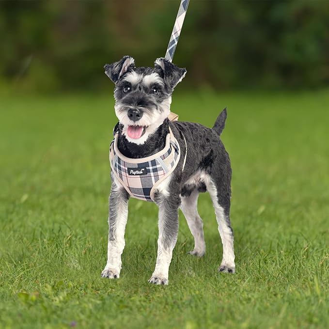 PUPTECK Dog Harness and Leash Collar Set for Small Medium Dogs Puppy and Cats Walking No Pull Adjustable Reflective Soft Mesh Padded Plaid Harnesses Pet Accessories, Beige, L