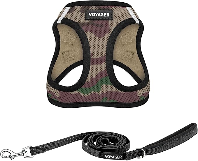 Voyager Step-in Air All Weather Mesh Harness and Reflective Dog 5 ft Leash Combo with Neoprene Handle, for Small, Medium and Large Breed Puppies by Best Pet Supplies - Green, X-Small