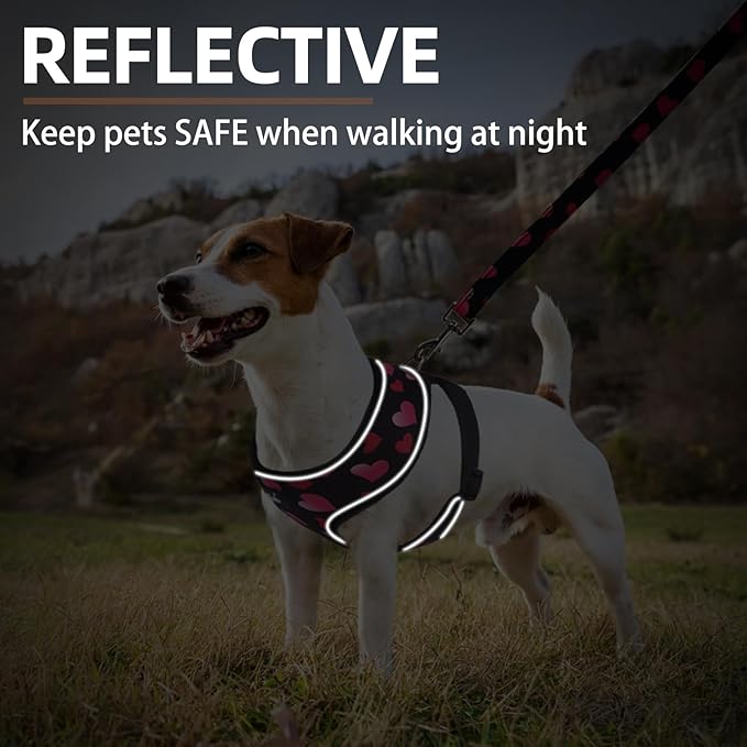 PUPTECK Soft Mesh Dog Harness and Leash Set Pet Puppy Cat Comfort Padded Vest No Pull Harnesses Valentine, Black&Pink, M