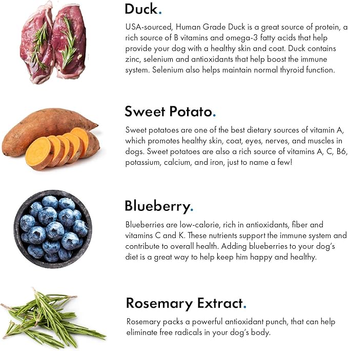 Pet Jerky Factory Premium Duck and Blueberry 12 oz. Dog Jerky Treats | 100% Human Grade | USA Made | High Protein | Grain Free | Limited Ingredients | No Filler | BHA-BHT Free | Soft-Tender