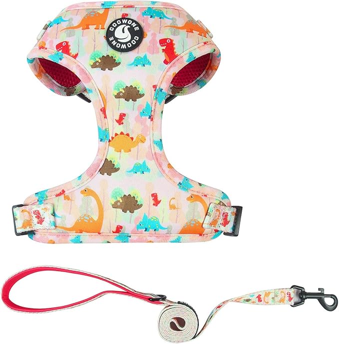 Dog Harness and Leash Set, Adjustable Dog Harness, Dog Leash, No Pull No Choke Puppy Harnesses for Walking Training for Small, Medium, Large Pet