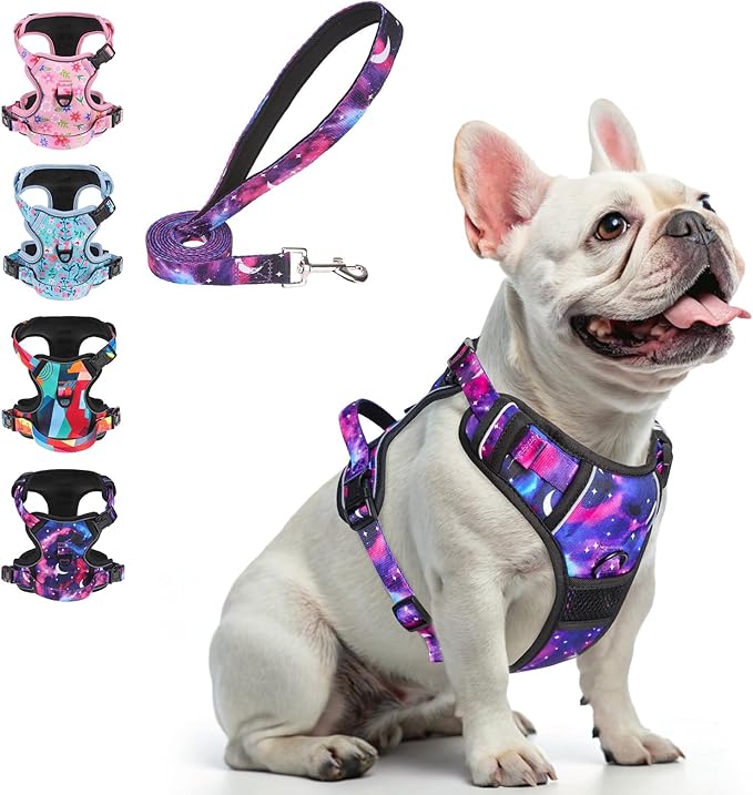 BEAUTYZOO No Pull Dog Harness Small, Adjustable Dog Harness and Leash Set -Easy Wearing with 3 Buckles/Control Handle,No Choke Soft Padded Reflective Pet Vest for Training Walking Hiking, S