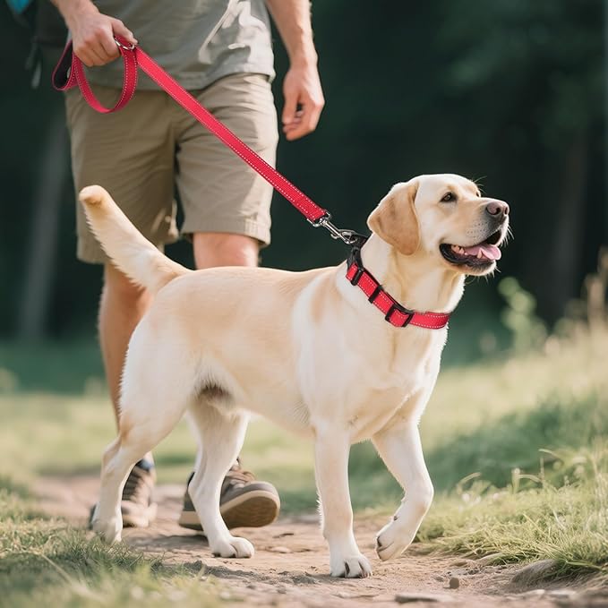 Joytale Reflective Dog Collar,Soft Neoprene Padded Breathable Nylon Pet Collar Adjustable for Extra Large Dogs,Red,XL
