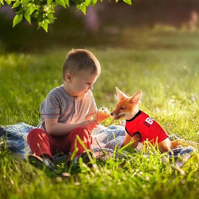 6 Pack Dog Clothes for Small Dogs, Soft and Breathable Puppy Kitten Dog Shirts with Letters for Pet Cats, Summer Dogs T-Shirt Apparel Sleeveless Vests for Yorkies (for boy, XL)