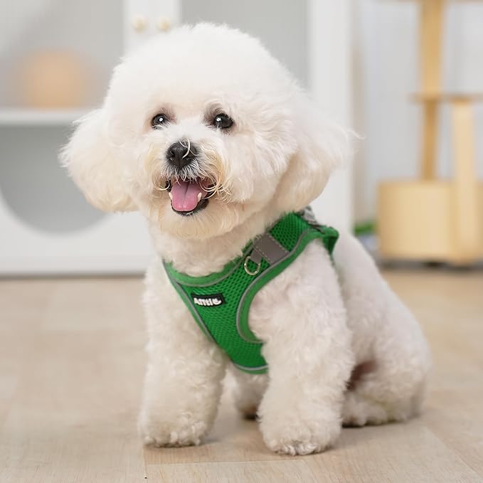 AIITLE Small Harness for Puppy with A Leash - Spring Dog Vest Harness with Super Breathable Mesh, Reflective No-Pull Pet Harness for Outdoor Walking, Camping for Small Dogs, Cats Green XXS