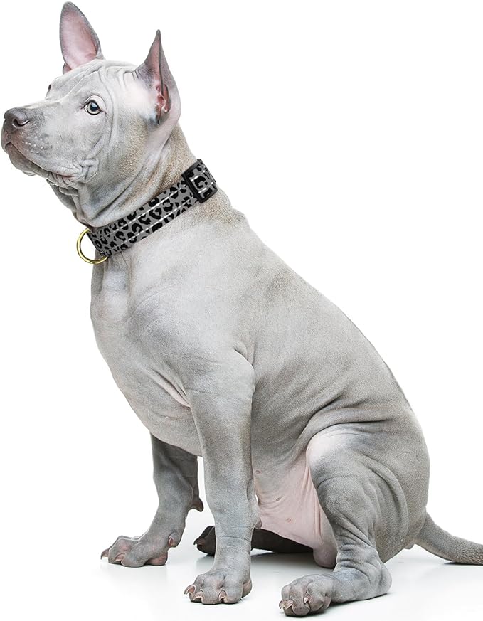 Reflective Dog Collar for Medium Dogs, Cute Leopard Style Adjustable Heavy-Duty Nylon Puppy Collar for Boy and Girl Female, Soft Pet Accessories with Quick Release Buckle, Gray