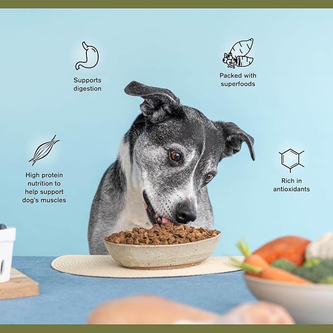by Katherine Heigl- Superfood Complete, Air-Dried Adult Dog Food - High Protein, Zero Fillers, Superfood Nutrition (64 Ounce (Pack of 4), Lamb & Venison)