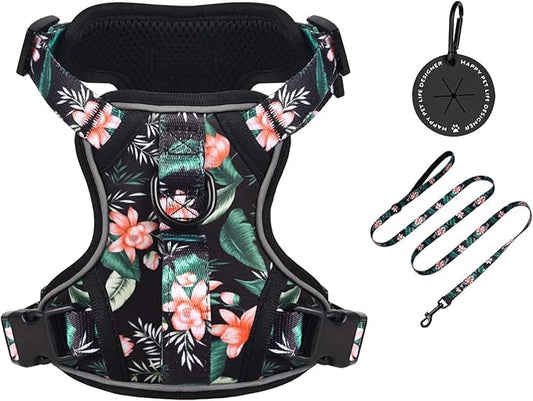 Petmolico Dog Harness for Small Dogs, Cute Harness Vest with Two Leash Clips and Soft Handle, Reflective Easy Walk Puppy Vest - Black Lotus, Small