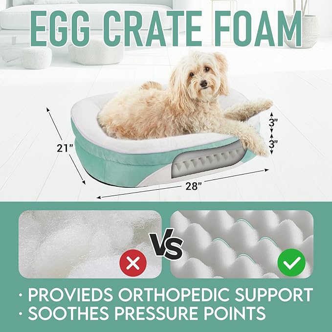 OhGeni Orthopedic Dog Couch Medium Sized Pet Beds for Fathers Gifts with Comfort Foam Support, Soft Indestructible Fabric, Machine Washable Waterproof Removable Cover, 28-Inch (Turquoise)