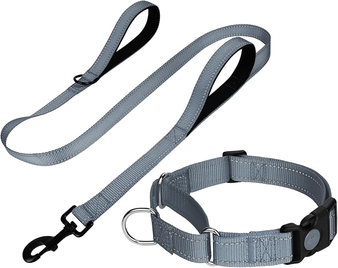 FunTags Reflective Martingale Collar for Dogs, Quick Release Buckle, 5FT Double Handle Dog Leash Padded, Dog Collar and Leash Set, Adjustable for Large Dogs (Grey, L)