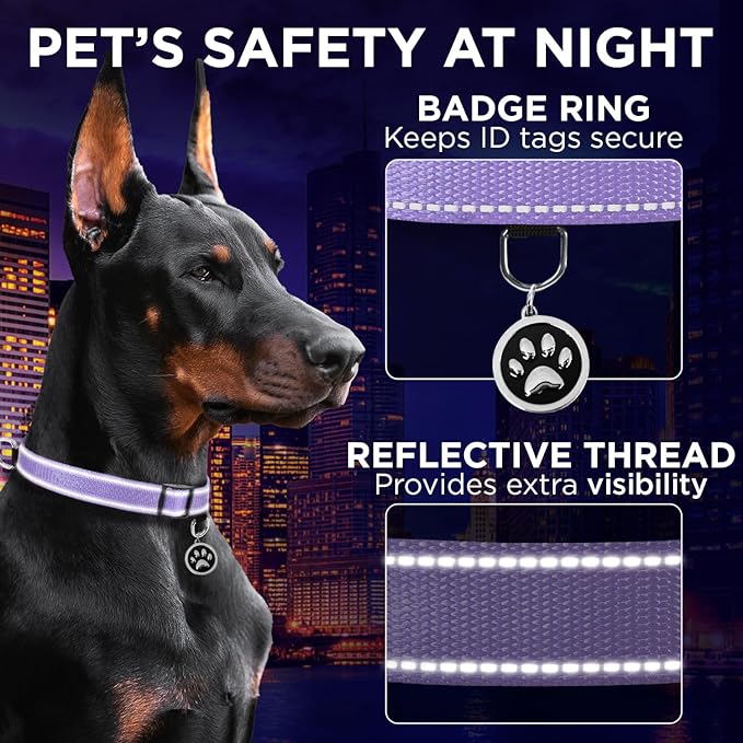 TECEUM Reflective Pet Collar – Lavender – XS – Extra Soft Padding – Basic Nylon Dog Collar – Quick Release Buckle – Fits Small, Medium and Large Dogs, Puppies, Cats – ESA & Service Dog Options