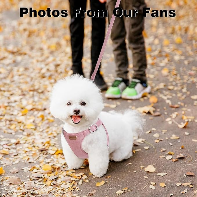 Dog Harness and Leash Set, XXS No Pull Adjustable Puppy Harness with Multifunction Pink Dog Leash and Dog Collar, Soft No Choke Escape Proof Pet Harness Vest for Small Dogs and Cats (Red, M)