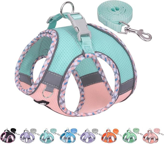 AIITLE Teacup Puppy Harness with Leash - Adjustable Soft Vest with Magic Velcro & Reflective Safety Strips, Easy-Put-On for Poodles, Pomeranians - Gym, Hiking, Travel (Turquoise-Pink, S)
