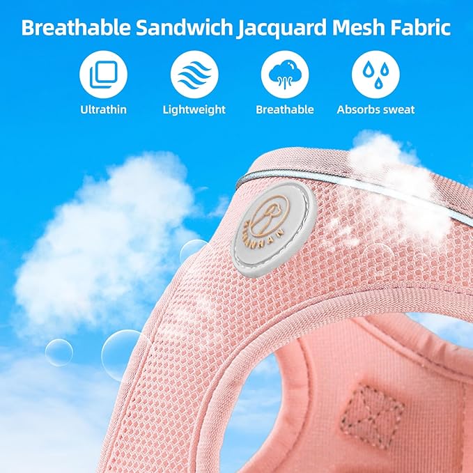 Soft Mesh Dog Harness and Leash Set, No Pull Puppy Harness and Leash Set, Reflective Step in Harness for Small Medium Dogs, Easy Walk Escape Proof Vest Harnesses (Pink, XXS)