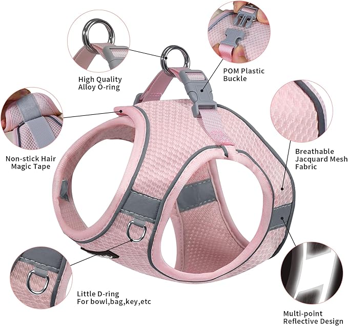 AIITLE Dog Harness and Leash Set, No Pull Step in Puppy Harness with Super Breathable Mesh, Reflective Puppy Essentials for Outdoor Walking, Training for Small Dogs, Cats Pink XS