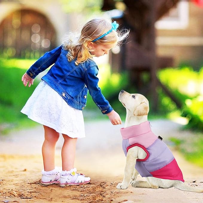 Idepet Pet Dog Cat Coat with Leash Anchor Color Patchwork Padded Puppy Vest Jacket Teddy Chihuahua Costumes Pug Cloth XS S M L (X-Large, Rose Red)