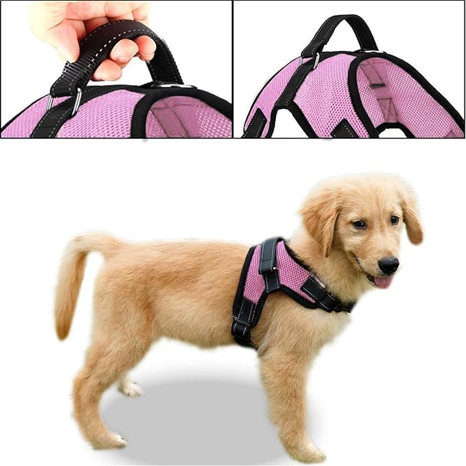 No Pull Reflective Adjustable Dog Harness With Handle- Comfortable Soft All Weather Mesh, Easy On Puppy Harness For Small Medium and Large Dogs (Pink) Small