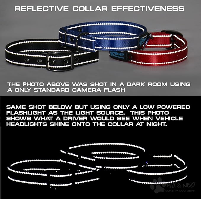 Max and Neo MAX Reflective Metal Buckle Dog Collar - We Donate a Collar to a Dog Rescue for Every Collar Sold (X-Small, Orange)
