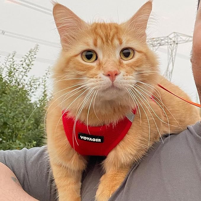 Voyager Step-in Air All Weather Mesh Harness and Reflective Dog 5 ft Leash Combo with Neoprene Handle, for Small, Medium and Large Breed Puppies by Best Pet Supplies - Harness Leash Set (Red), L