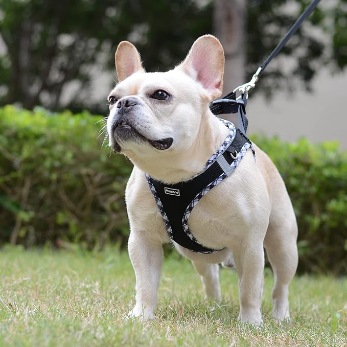 Mercano Soft Mesh Dog Harness and Leash Set, No-Chock Step-in Reflective Breathable Lightweight Escape Proof Vest Harnesses with Safety Buckle for Small Dogs, Cats (Black White, M)