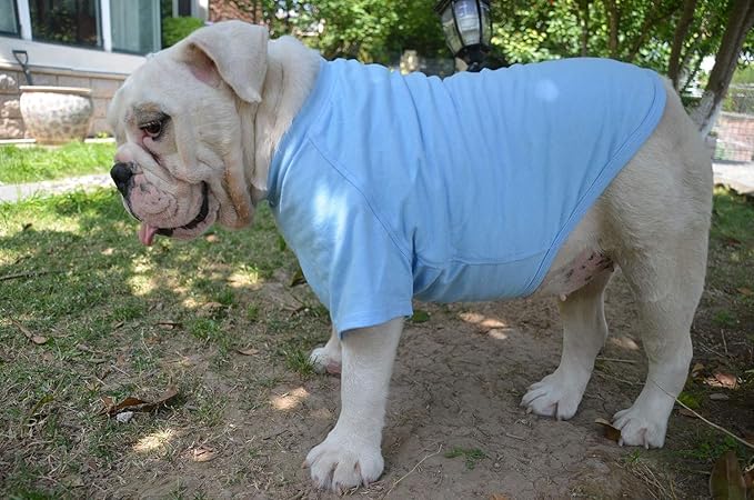Lovelonglong Bulldog Clothes Dog Clothing Blank T-Shirt Tee Shirts for French Bulldog English Bulldog American Pit Bull Pugs 100% Cotton Skin Care Light-Blue B-M