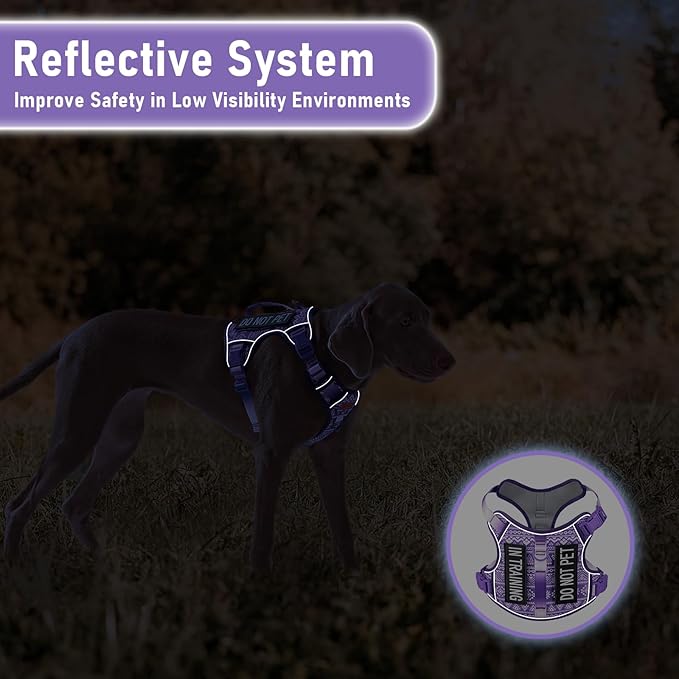 Service Dog Vest Harness with 2 Velcro Patches, No Pull Dog Harness for Walking Training Hiking, Metal D-Rings Easy on/Off Neck Buckle Reflective Strips Soft Padded Handle, Purple