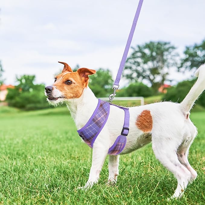 SCENEREAL Puppy Dog Harness with Leash Set for Small Medium Sized Dogs, Soft Mesh Step in Pet Harnesses and Leash, No Chock Plaid Adjustible No Pull Vest for Dogs Cats, Chihuahua,Bulldog (Purple XS)