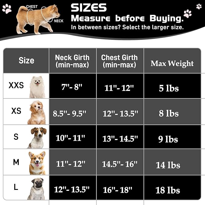 Soft Mesh Dog Harness and Leash Set, No Pull Puppy Harness and Leash Set, Reflective Step in Harness for Small Medium Dogs, Easy Walk Escape Proof Vest Harnesses (Black, XXS)