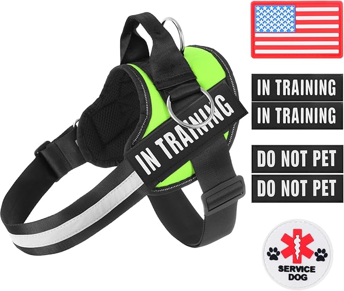 Essential Dog Harness, No Pull Pet Harness with 3 Side Rings for Leash Placement, No Choke, Reflective, Adjustable Pet Vest, Easy On-Off & Improved Control Handle, Training, Walking, Running
