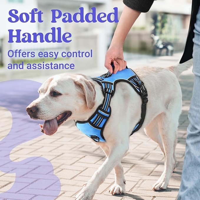 rabbitgoo Dog Harness Medium Sized, No Pull Pet Harness with Soft Padded Handle, Adjustable Reflective Vest with 3 Buckles, Easy Walking Harness with 2 Leash Clips, Light Blue, M