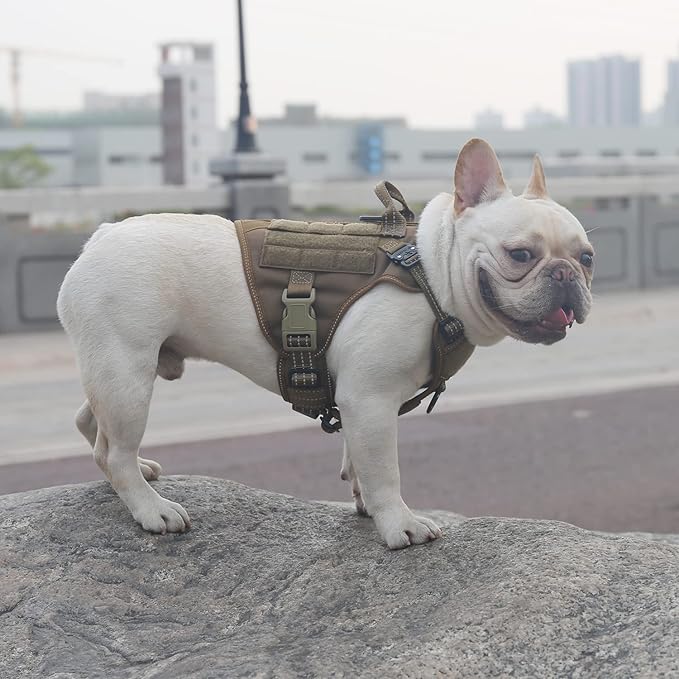 ICEFANG Tactical Dog Harness, Small Size,2X Metal Buckle,Working Dog MOLLE Vest with Handle,No Pulling Front Leash Clip,Hook and Loop Panel