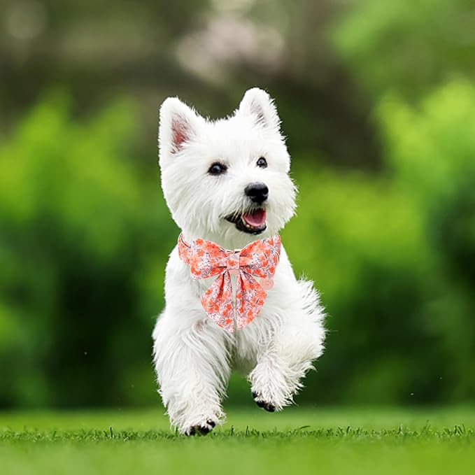 Orange Flower Bowtie Dog Collar - Summer Collar for Puppy Boy Girl, Comfortable Cotton With Metal Buckle, XL
