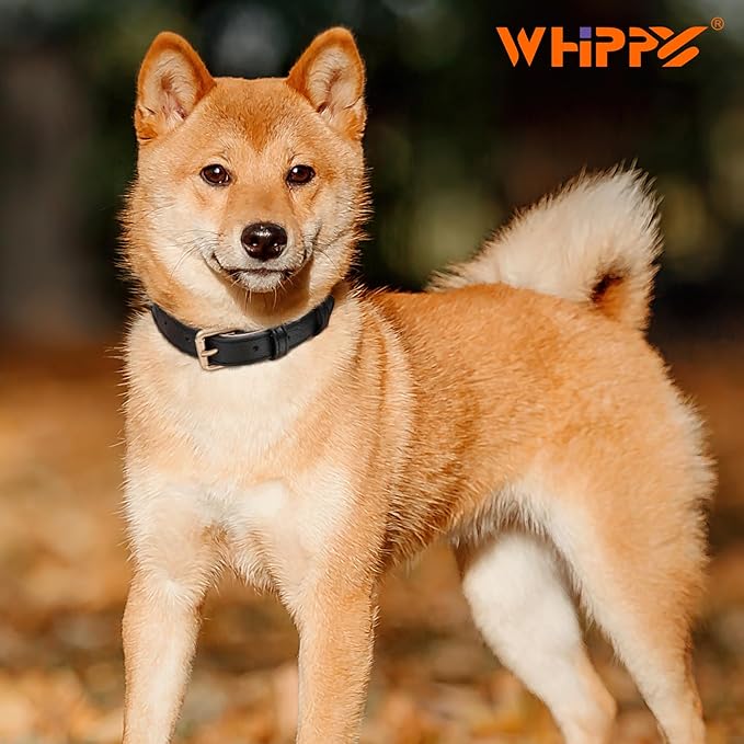 WHIPPY Leather Dog Collar for Small Dog Adjustable Soft Breathable Leather Padded Puppy Collar with Alloy Buckle Heavy Duty Waterproof Classic Dog Pet Collar,Black,XS