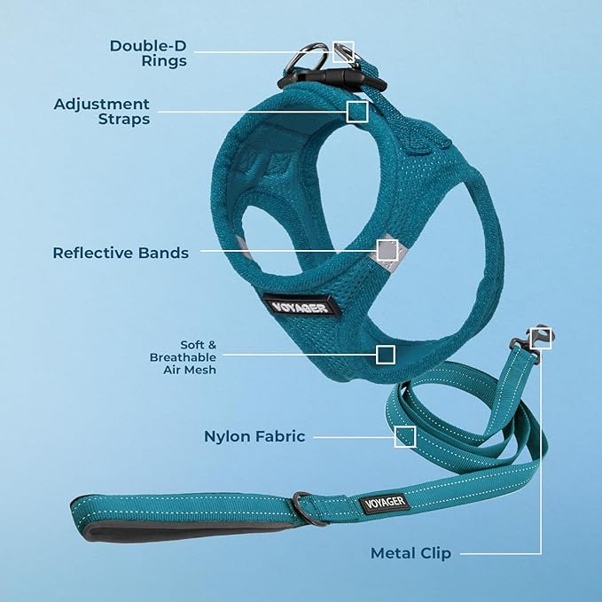 Voyager Step-in Air All Weather Mesh Harness and Reflective Dog 5 ft Leash Combo with Neoprene Handle, for Small, Medium and Large Breed Puppies by Best Pet Supplies - Set (Turquoise), XL