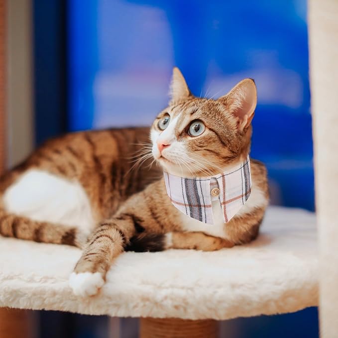 EXPAWLORER Dog Collar and Leash Set - Embroidery Pawprints Plaid Medium Dog Collar and Leash Set, Cute Dog Bandana Collar, Dog Collars for Small Medium Dogs Cats Girl Boy, Cream Medium