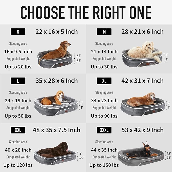 OhGeni Orthopedic Dog Couch Medium Sized Pet Beds for Fathers Gifts with Comfort Foam Support, Soft Indestructible Fabric, Machine Washable Waterproof Removable Cover, 28-Inch (Turquoise)