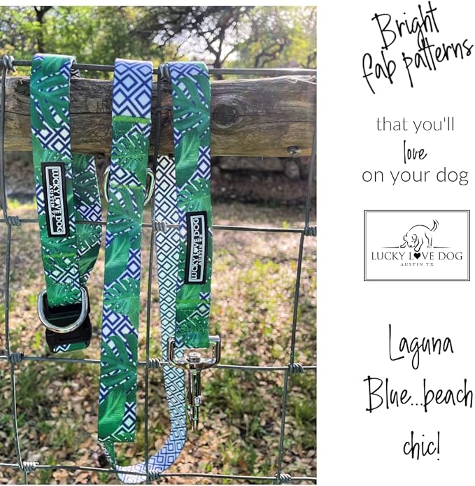 Lucky Love Dog Collar and Leash Set, Beautiful & Vivid Patterns, Easy On & Off Clasp Accessory (Blue Laguna, XS Combo)