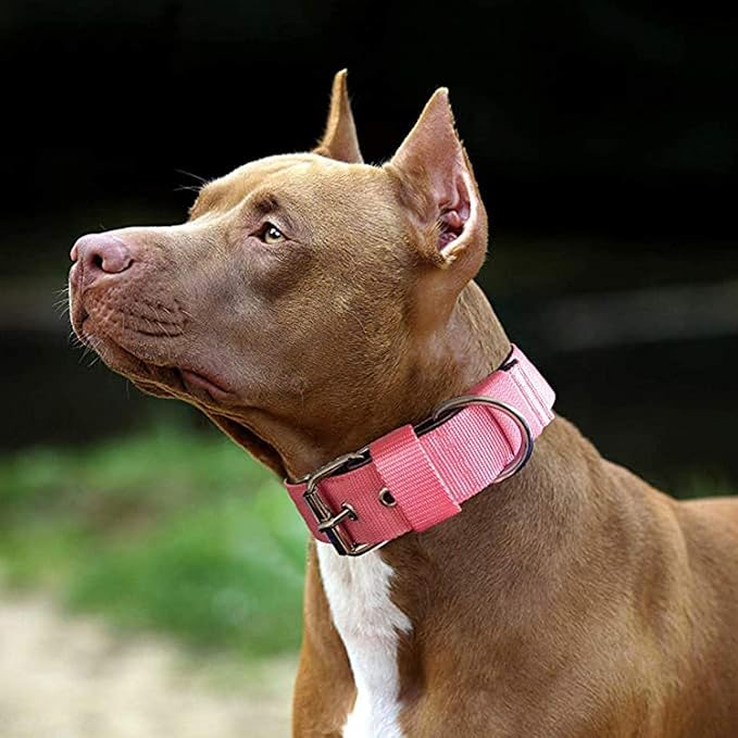 Heavy Duty Tactical Dog Collar - 1.5" Width Military Durable Thick Nylon with Adjustable Metal D Ring & Buckle Working Training K9 Collar for Medium Large Dogs (L(20"-23"), Pink)